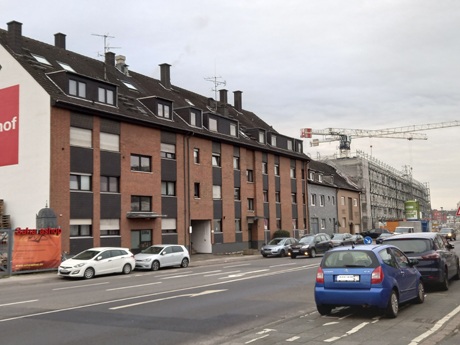 Koeln Poll